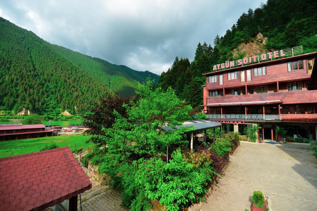 Aygün Hotel&bungalow Hotel